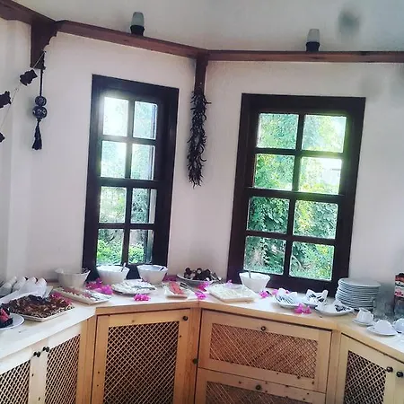 Oskay Dalyan